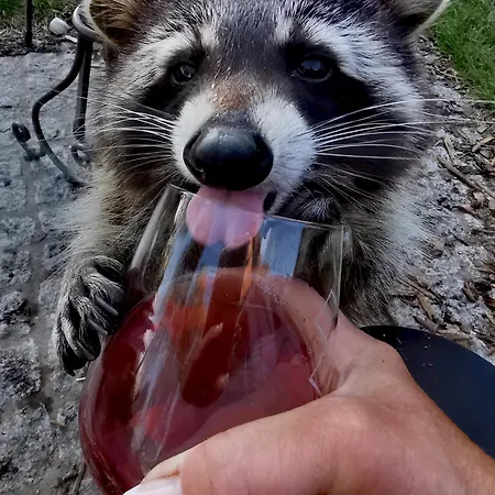 Barlter Muehle Mit Sauna Und Terrasse Appartement