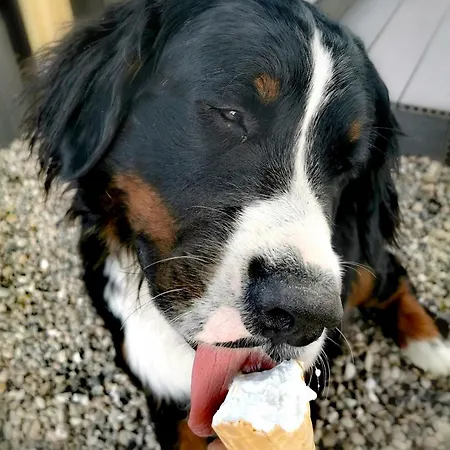 Barlter Muehle Mit Sauna Und Terrasse Apartamento