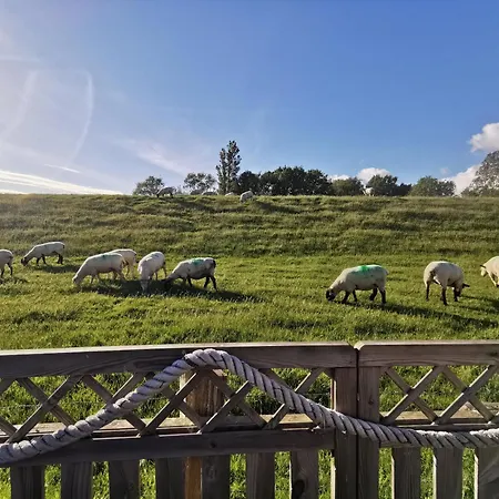 Appartement Barlter Muehle Mit Sauna Und Terrasse *