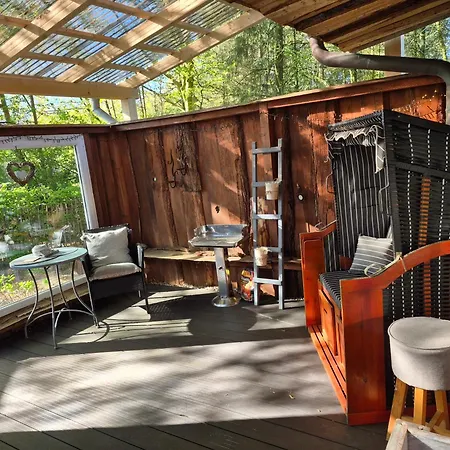 Barlter Muehle Mit Sauna Und Terrasse Barlt
