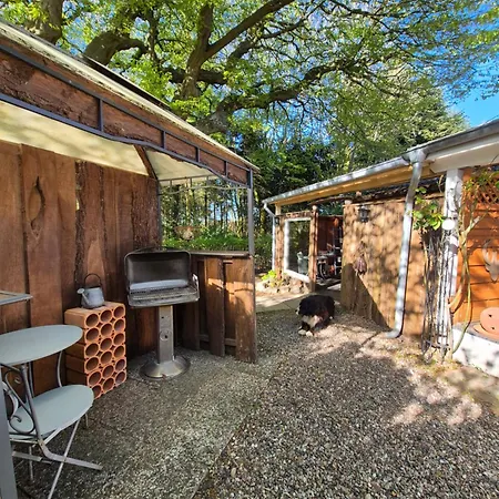 Barlter Muehle Mit Sauna Und Terrasse Διαμέρισμα